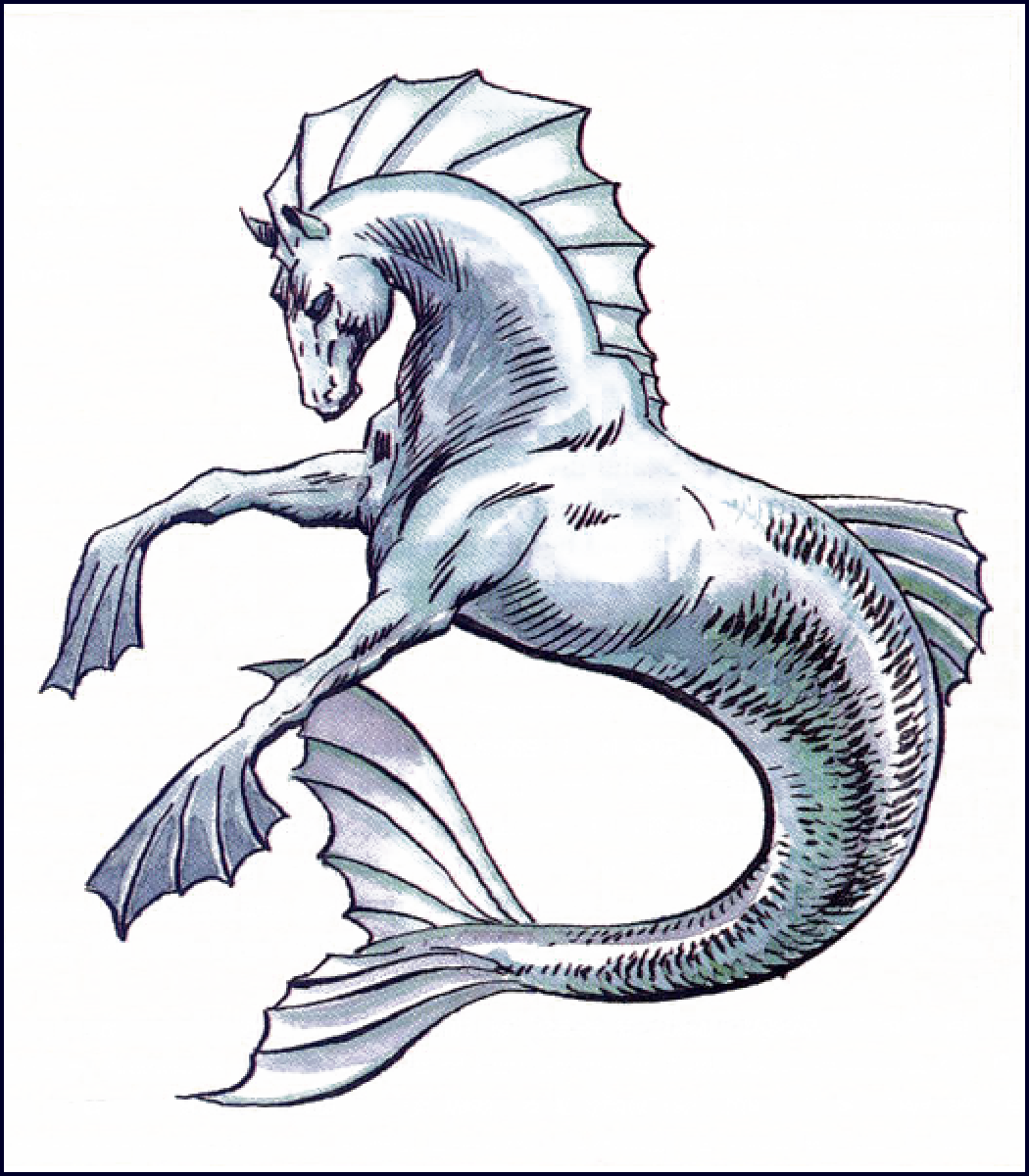 Cheval marin