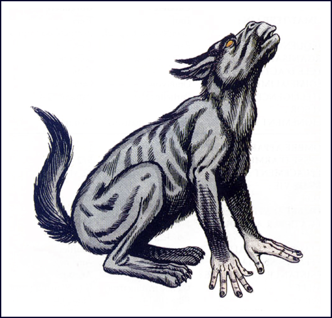 Chien de la lune