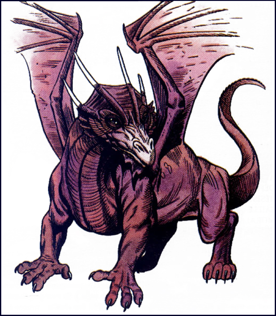 Dragonet, drake igné